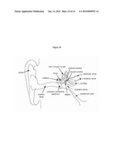 CONTROLLED RELEASE CORTICOSTEROID COMPOSITIONS AND METHODS FOR THE TREATMENT OF OTIC DISORDERS diagram and image