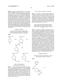 NOVEL INHIBITORS OF BETA-LACTAMASE diagram and image