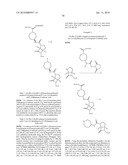 NOVEL INHIBITORS OF BETA-LACTAMASE diagram and image