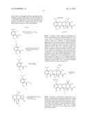 Tetracycline Derivatives with Reduced Antibiotic Activity and Neuroprotective Benefits diagram and image