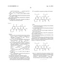 Tetracycline Derivatives with Reduced Antibiotic Activity and Neuroprotective Benefits diagram and image