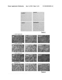 DRUGS FOR THE TREATMENT OF SARCOGLYCANOPATHIES diagram and image