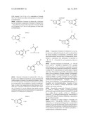 ANTAGONISTS OF THE VANILLOID RECEPTOR SUBTYPE 1 (VR1) AND USE THEREOF diagram and image