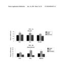 Inhibiting Serum Response Factor (SRF) to Improve Glycemic Control diagram and image