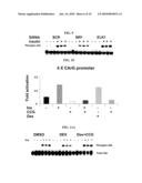 Inhibiting Serum Response Factor (SRF) to Improve Glycemic Control diagram and image