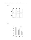 MEDIUM AND DEVICE FOR PROLIFERATION OF STEM CELLS AND TREATMENT OF CANCER-RELATED STEM CELL WITH RESVERATROL diagram and image