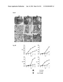 MEDIUM AND DEVICE FOR PROLIFERATION OF STEM CELLS AND TREATMENT OF CANCER-RELATED STEM CELL WITH RESVERATROL diagram and image