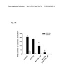 MEDIUM AND DEVICE FOR PROLIFERATION OF STEM CELLS AND TREATMENT OF CANCER-RELATED STEM CELL WITH RESVERATROL diagram and image