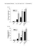 MEDIUM AND DEVICE FOR PROLIFERATION OF STEM CELLS AND TREATMENT OF CANCER-RELATED STEM CELL WITH RESVERATROL diagram and image