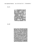 MEDIUM AND DEVICE FOR PROLIFERATION OF STEM CELLS AND TREATMENT OF CANCER-RELATED STEM CELL WITH RESVERATROL diagram and image