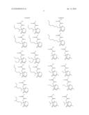 CHEMICALLY AMPLIFIED POSITIVE RESIST COMPOSITION diagram and image