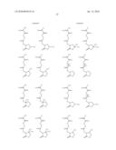 CHEMICALLY AMPLIFIED POSITIVE RESIST COMPOSITION diagram and image