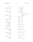 CHEMICALLY AMPLIFIED POSITIVE RESIST COMPOSITION diagram and image