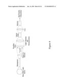 System for Noninvasive Determination of Analytes in Tissue diagram and image