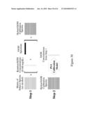 System for Noninvasive Determination of Analytes in Tissue diagram and image