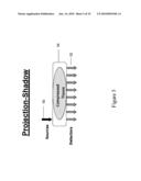 Hand-Held Optical Probe Based Imaging System with 3D Tracking Facilities diagram and image