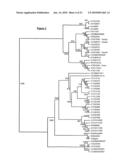 FLAVIN MONOOXYGENASES AND TRANSCRIPTION FACTORS INVOLVED IN GLUCOSINOLATE BIOSYNTHESIS diagram and image