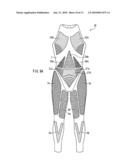 SPORTSWEAR diagram and image