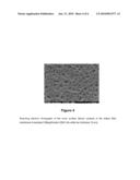 Plasma Separation Membrane diagram and image