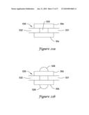 MINIATURIZED CYTOMETER FOR DETECTING MULTIPLE SPECIES IN A SAMPLE diagram and image