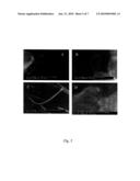 Processing of Single-Walled Carbon Nanotube Metal-Matrix Composites Manufactured by an Induction Heating Method diagram and image