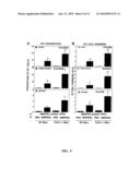 METHODS AND COMPOSITIONS FOR ENHANCING IMMUNE MEMORY BY BLOCKING INTRAHEPATIC ACTIVATED T CELL DELETION diagram and image