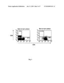 Composition Comprising In Vitro Expanded T-Lymphocytes and Vessel Formation Inhibitors Suitable in the Treatment of Cancer diagram and image