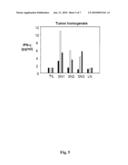 Composition Comprising In Vitro Expanded T-Lymphocytes and Vessel Formation Inhibitors Suitable in the Treatment of Cancer diagram and image