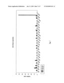 Composition Comprising In Vitro Expanded T-Lymphocytes and Vessel Formation Inhibitors Suitable in the Treatment of Cancer diagram and image