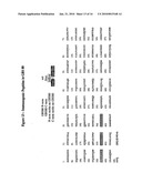 IMMUNOGENIC COMPOSITIONS FOR STREPTOCOCCUS AGALACTIAE diagram and image