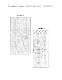 IMMUNOGENIC BACTERIAL VESICLES WITH OUTER MEMBRANE PROTEINS diagram and image