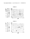 IMMUNOGENIC BACTERIAL VESICLES WITH OUTER MEMBRANE PROTEINS diagram and image