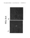 Compositions and Methods Using Same for Delivering Agents Into a Target Organ Protected by a Blood Barrier diagram and image