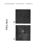 Compositions and Methods Using Same for Delivering Agents Into a Target Organ Protected by a Blood Barrier diagram and image