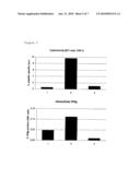 Novel Trans-Adjuvant System diagram and image