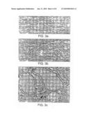 DIAGNOSTIC SCREENING METHODS FOR DISORDERS OF THE ENDOPLASMIC RETICULUM-TO-GOLGI TRAFFICKING OF PROTEINS diagram and image