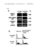 METHOD FOR EXAMINING COLORECTAL CANCER AND COLORECTAL ADENOMA diagram and image