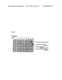 METHOD FOR EXAMINING COLORECTAL CANCER AND COLORECTAL ADENOMA diagram and image