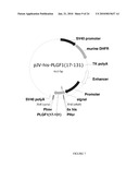 PIGF-1 ASSAY AND KITS AND COMPONENTS THEREOF diagram and image