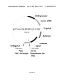 PIGF-1 ASSAY AND KITS AND COMPONENTS THEREOF diagram and image