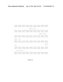 PIGF-1 ASSAY AND KITS AND COMPONENTS THEREOF diagram and image