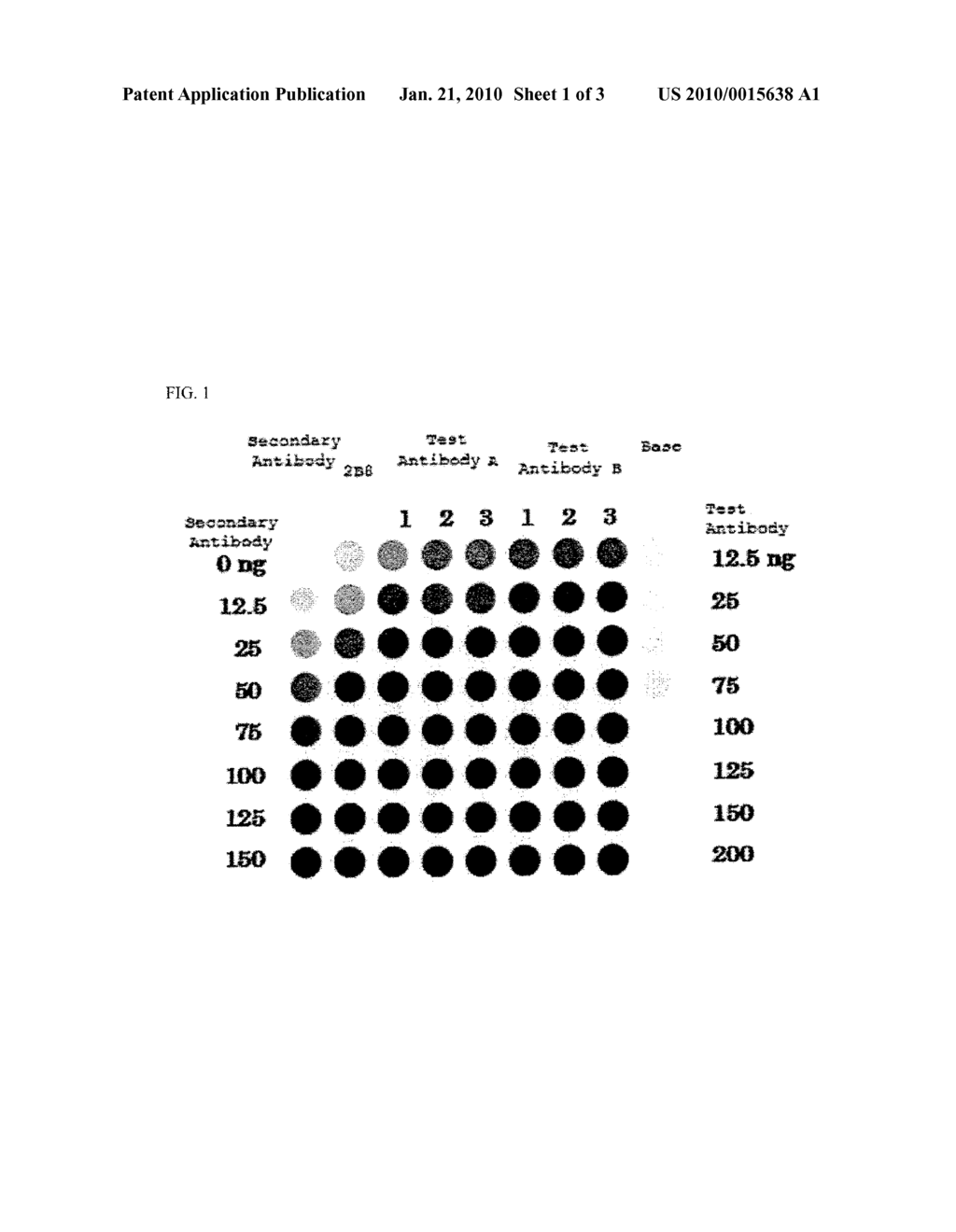 Method for production of antibody directed against cell membrane surface antigen epitope and assaying method - diagram, schematic, and image 02