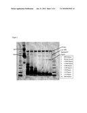 ANTIBODY QUANTITATION diagram and image