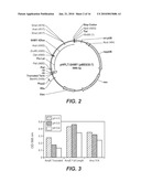 Variant Alpha-Amylases from Bacillus Subtilis and Methods of Uses, Thereof diagram and image