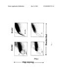 SIDE POPULATION CELLS ORIGINATED FROM HUMAN AMNION AND THEIR USES diagram and image