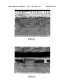 OBSERVATION METHOD OF WAFER ION IMPLANTATION DEFECT diagram and image