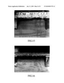 OBSERVATION METHOD OF WAFER ION IMPLANTATION DEFECT diagram and image