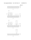 METHOD AND APPARATUS FOR DETECTING BIO-CHIP BY USING PHASE-CHANGE diagram and image