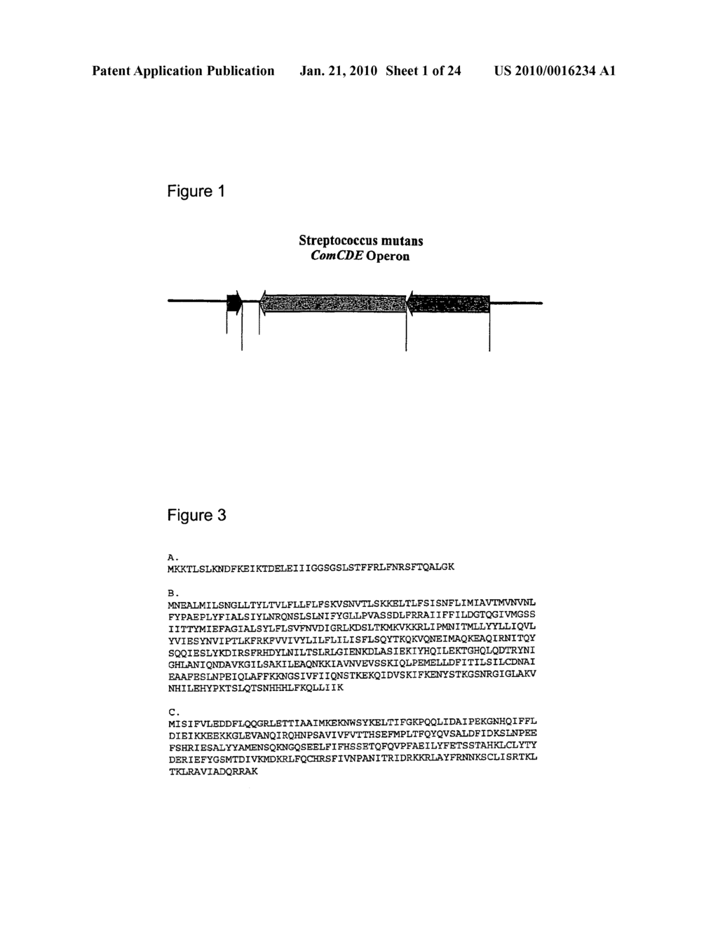 SIGNAL PEPTIDES, NUCLEIC ACID MOLECULES AND METHODS FOR TREATMENT OF CARIES - diagram, schematic, and image 02