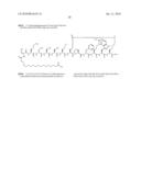 Peptides for Use in the Treatment of Obesity diagram and image